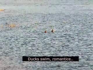 Romantik bisiklet üzerinde the ayakkabılar arasında aşk ile ducks: flört film 01 | xhamster